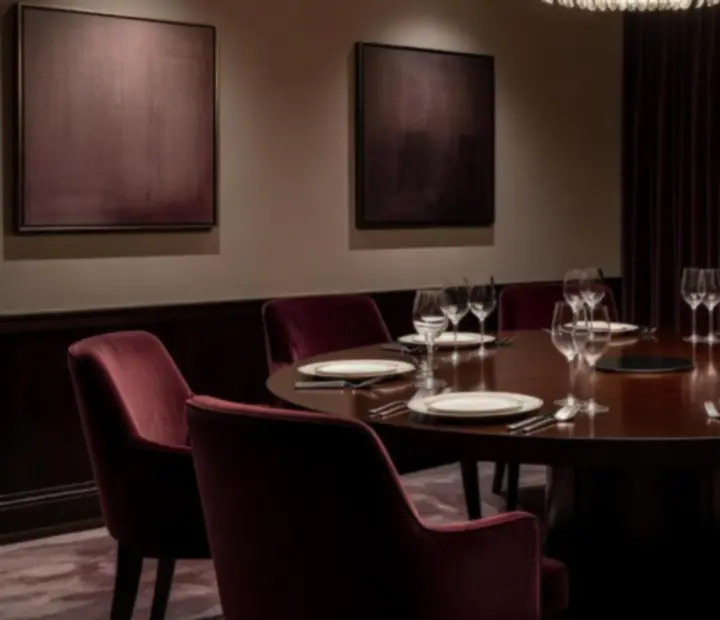 Privatni VIP salon s luksuzno postavljenim stolom i intimnim osvjetljenjem.